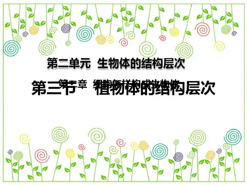  第三节 植物体的结构层次 课件
