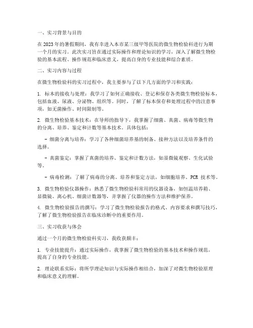 微生物检验科实习报告