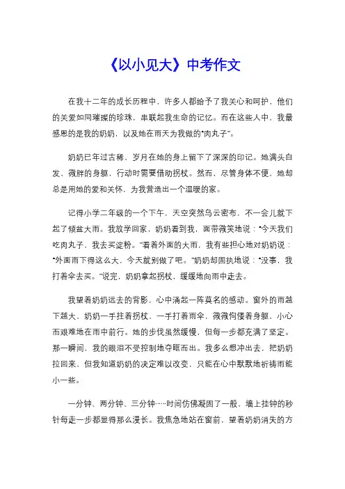 《以小见大》中考作文