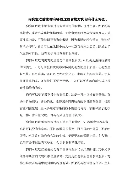 狗狗能吃的食物有哪些这些食物对狗狗有什么好处