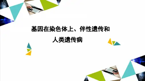 一轮复习：基因在染色体上、伴性遗传和人类遗传病