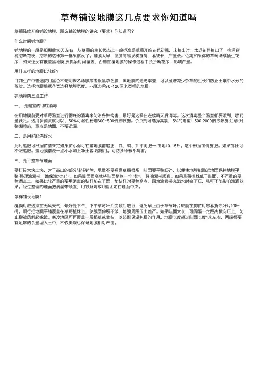 草莓铺设地膜这几点要求你知道吗