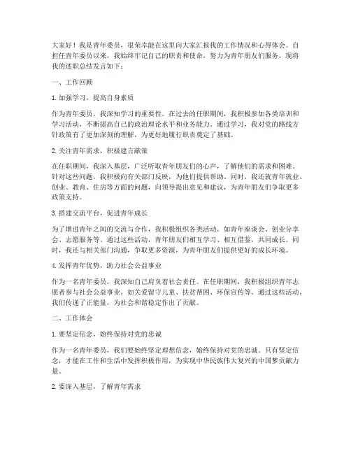 青年委员述职总结发言稿