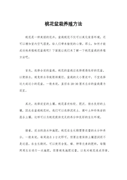 桃花盆栽养殖方法