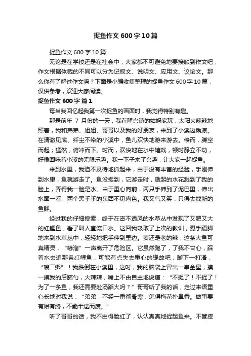 捉鱼作文600字10篇