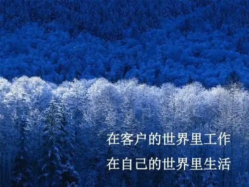 16种接近客户的方法PPT(29张)