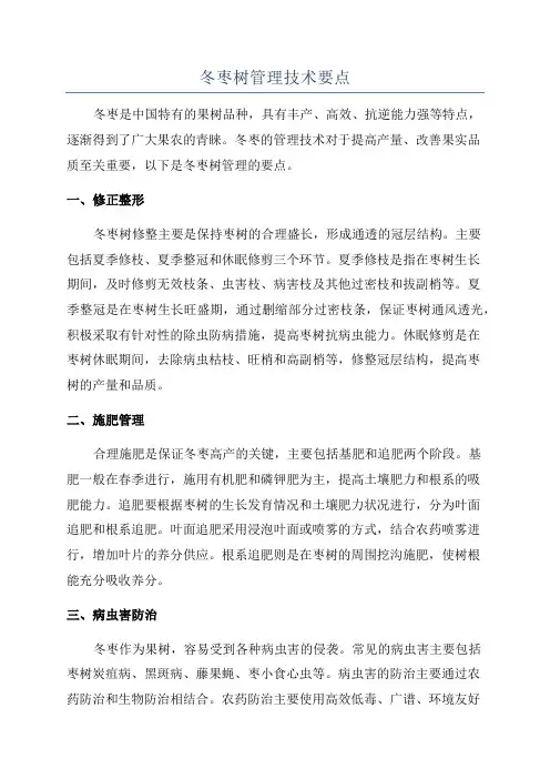 冬枣树管理技术要点