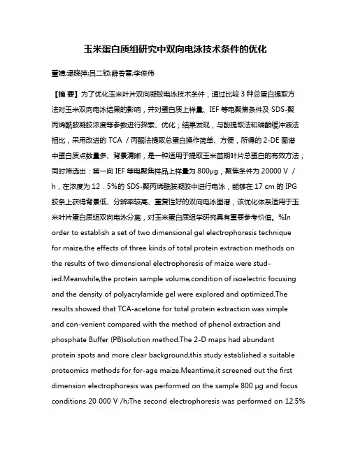 玉米蛋白质组研究中双向电泳技术条件的优化