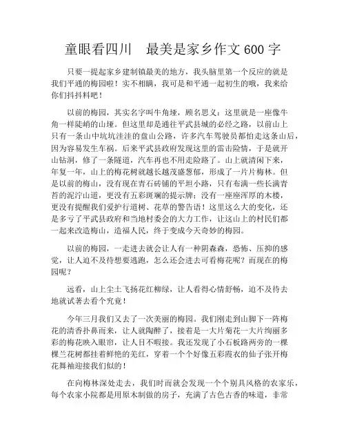 童眼看四川 最美是家乡作文600字