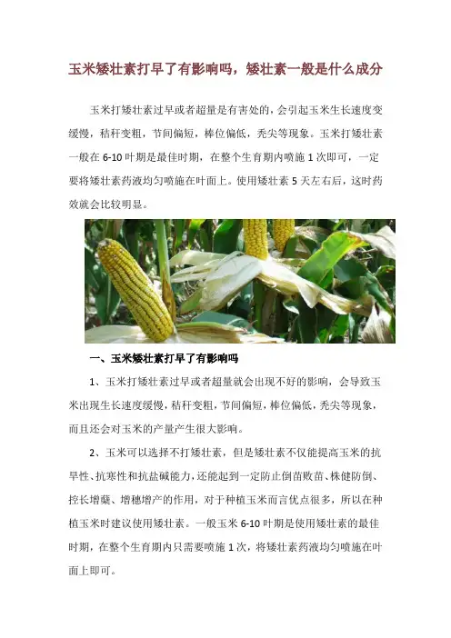 玉米矮壮素打早了有影响吗,矮壮素一般是什么成分