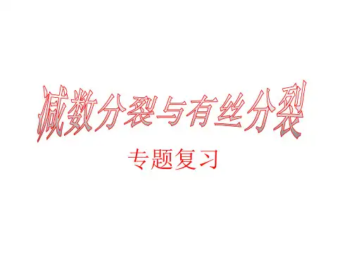 对比：有丝分裂_减数分裂_图解。(包教包会) - 副本