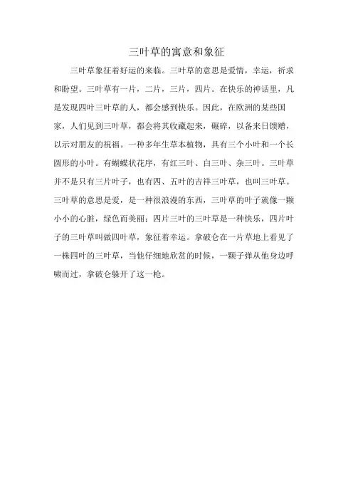 三叶草的寓意和象征