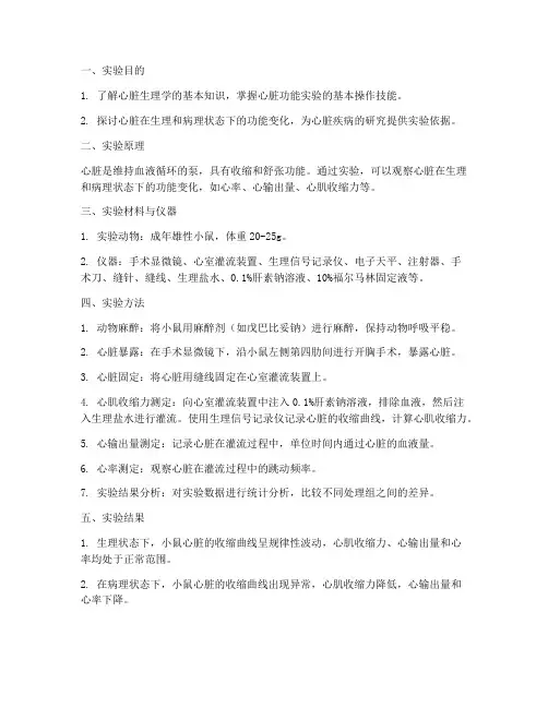 小鼠实验心脏实验报告