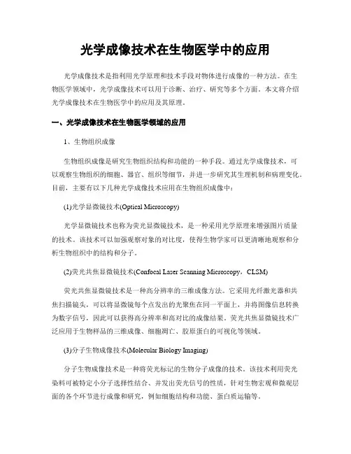 光学成像技术在生物医学中的应用