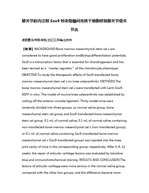 膝关节腔内注射Sox9转染骨髓间充质干细胞修复膝关节骨关节炎