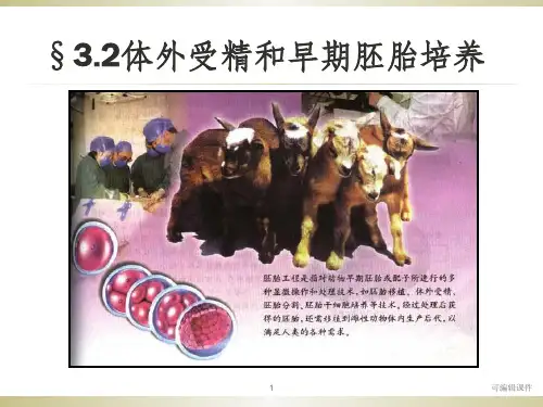 体外受精和早期胚胎发育ppt课件