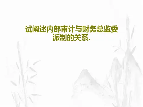 试阐述内部审计与财务总监委派制的关系.共19页文档
