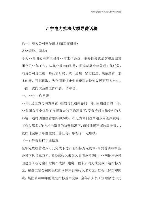 西宁电力执法大领导讲话稿