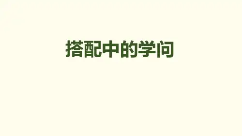 北师大版三年级数学上册 《搭配中的学问》PPT课件