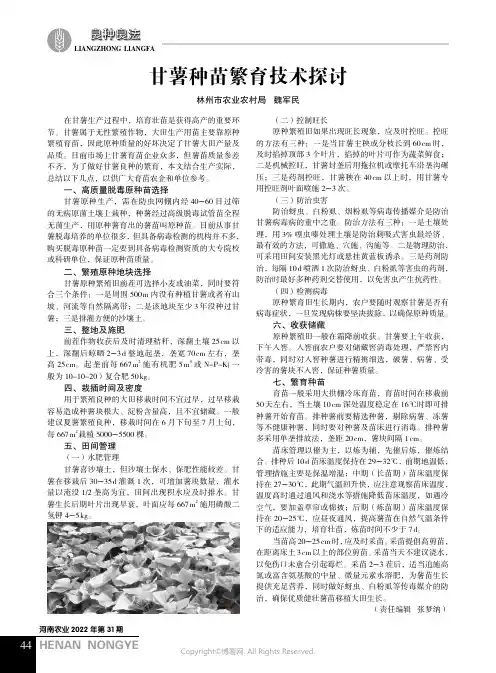 甘薯种苗繁育技术探讨
