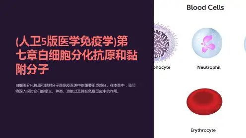 (人卫5版医学免疫学)第七章白细胞分化抗原和黏附分子