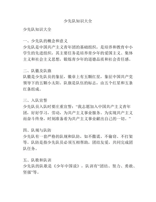 少先队知识大全