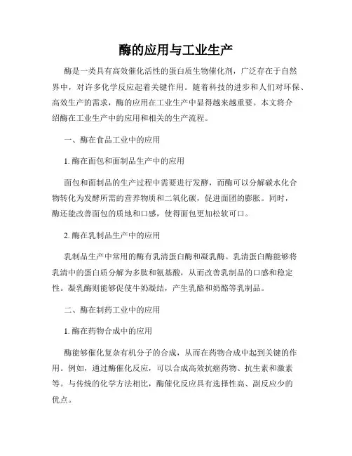 酶的应用与工业生产