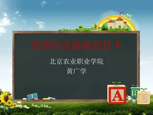 莲雾设施栽培