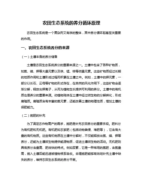 农田生态系统的养分循环原理