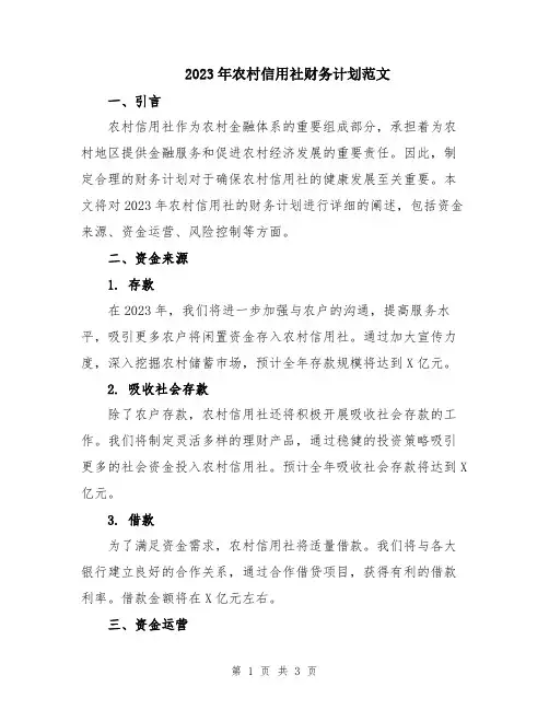 2023年农村信用社财务计划范文