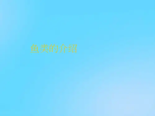 【优】鱼类的介绍PPT资料