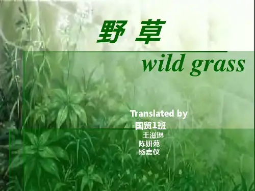 夏衍《野草》中译英 赏析