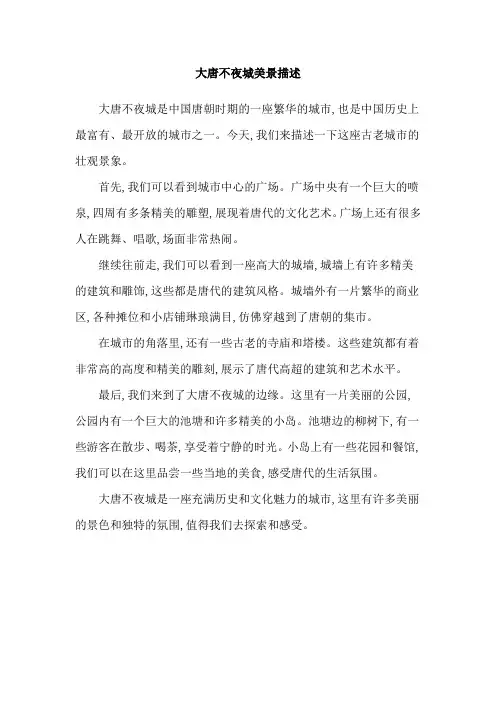 大唐不夜城美景描述