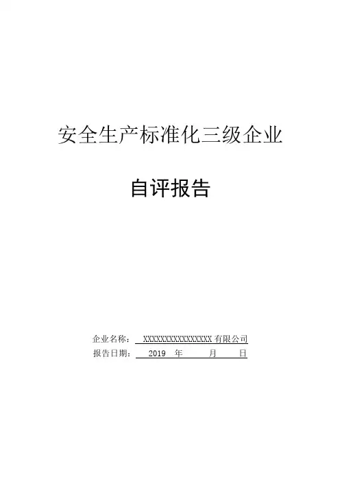 安全生产标准化三级企业自评报告-模板