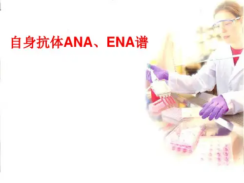 自身抗体