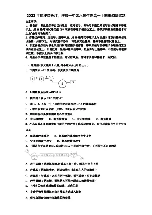 2023年福建省长汀、连城一中等六校生物高一上期末调研试题含解析