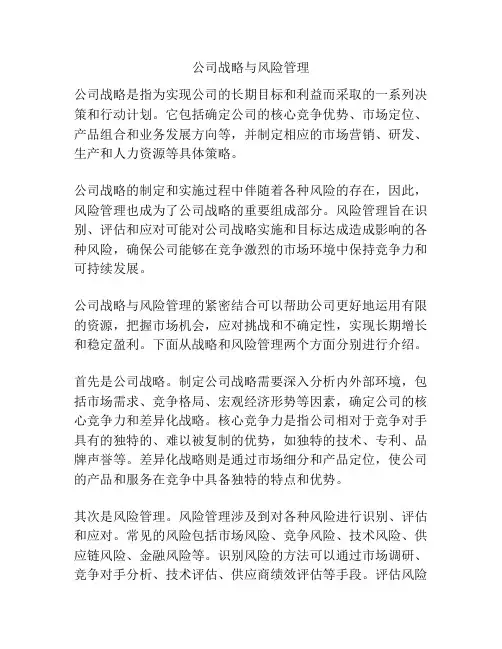 公司战略与风险管理