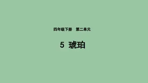 琥珀-ppt课件