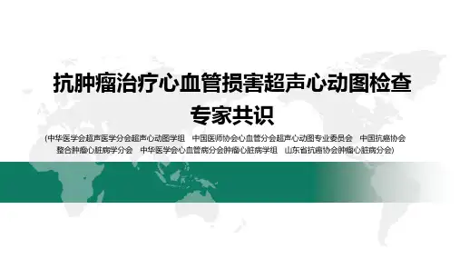 抗肿瘤治疗心血管损害超声心动图检查专家共识