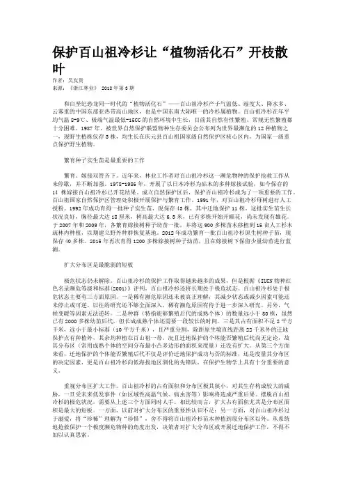 保护百山祖冷杉让“植物活化石”开枝散叶