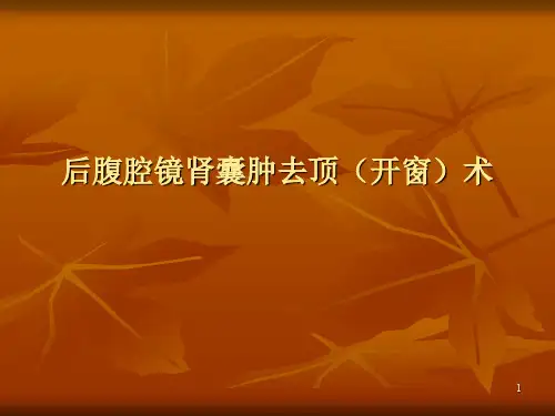 后腹腔镜肾囊肿去顶术ppt课件