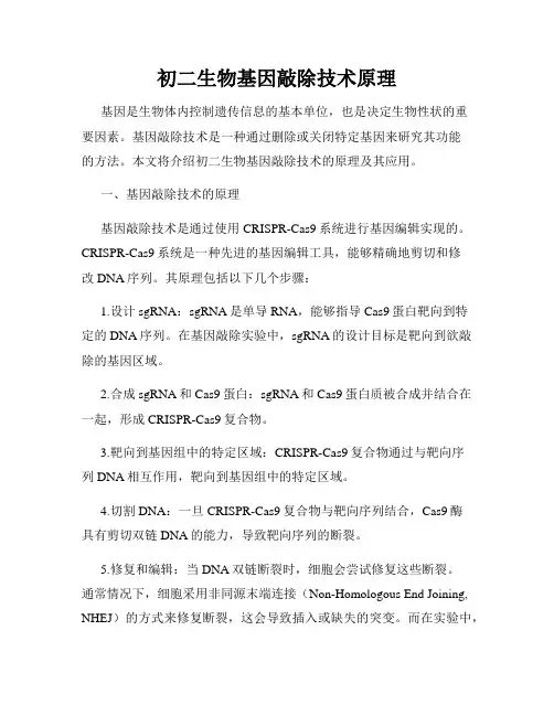 初二生物基因敲除技术原理