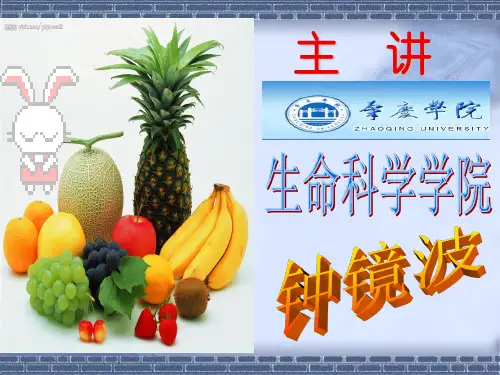 果园的营养与施肥32页PPT