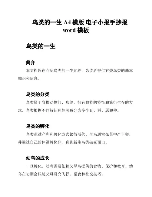 鸟类的一生 A4横版 电子小报手抄报word模板