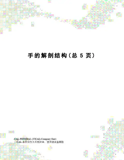 手的解剖结构
