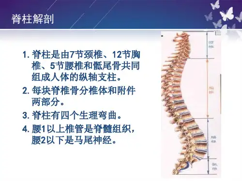 护理新技术脊柱骨折病人的护理ppt课件-文档资料