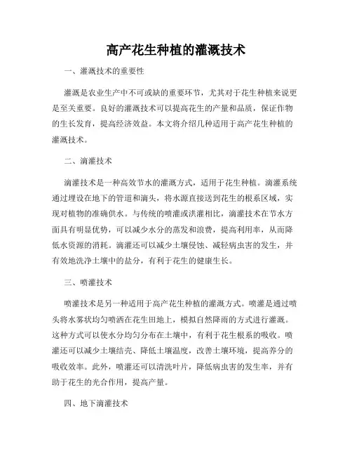 高产花生种植的灌溉技术