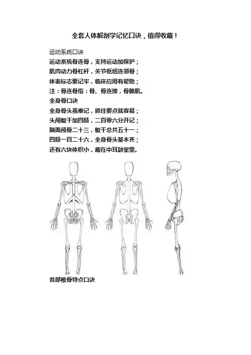 全套人体解剖学记忆口诀，值得收藏！