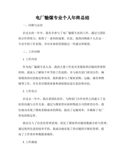 电厂输煤专业个人年终总结