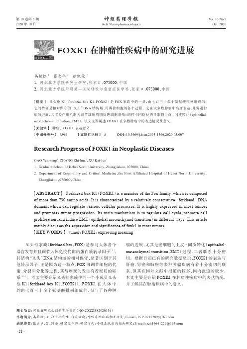 FOXK1在肿瘤性疾病中的研究进展